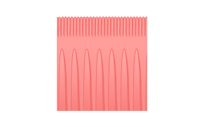 Pencil Pleat